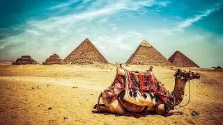 Отель после карантина/Египет 2020 White Beach Hotel/Vacation after Quarantine 2020 Hurghada. Egypt.