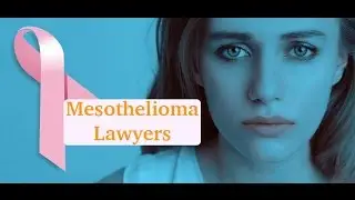 Mesothelioma Lawyers