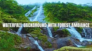 4K Forest Ambiance Waterfall Sound And Background - For Relaxing, Healing, Sleeping, Meditation