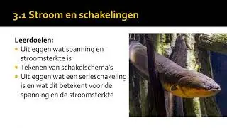 NaSk - Paragraaf 3.1 - Gesloten stroomkring, schakelschema en serieschakeling (blz. 154 en 155)