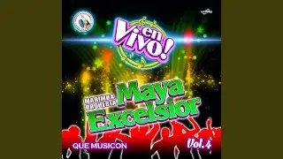Cumbia Arabe 2 (En Vivo)