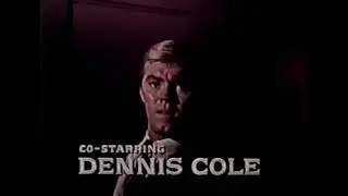 FELONY SQUAD 1967  Time of Trial  Howard Duff, Dennis Cole,  - Patricia Barry - director Gerd Oswald