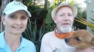 Transform Your Dog with Bespoke In-Home Training | Cape Town, PE & Garden Route 5-Star Review