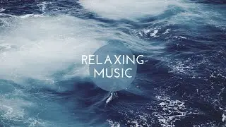 Whales and Dolphins Swimming to Relaxing Music and Sounds.