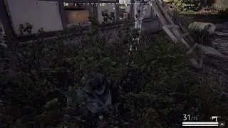Vigor Team Wipe Solo