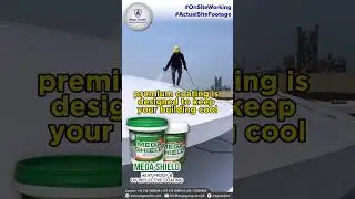 MEGA SHEILD  |  A Protective and Decorative Heat Proof Coating