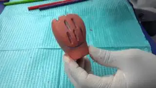 DR. ROGER CALLA.PROTESIS FIJA-MACROMODELO ANTERIOR