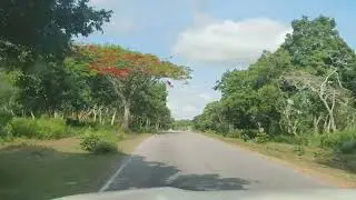 Scenic Forest Drive Across Bandipur, Mudumalai & Chinnar | &ldquo;South India Jungle Drive