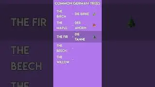 German Nature Vocabulary: Learn Common Tree Names!