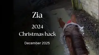 Skyview Christmas Hack 🎄
