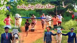 ఎడమవైపు TBR బుల్స్,వనిపెంట (కంబైన్డ్) కుడివైపు సద్దాం హుస్సేన్,యర్రబల్లె వారి టచ్చుపల్ల లేగల బేటా