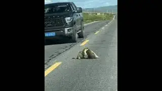 а я что, я ничего ..