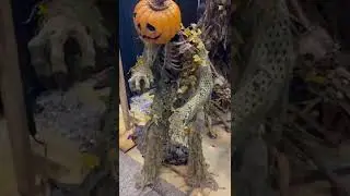 Transworld 2022 Pumpkin by beastcraft