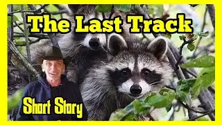The Last Track