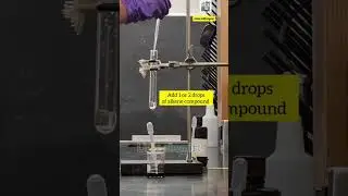 Test for unsaturation of a chemical compound. #chemistry #laboratory #shortsfeed #science #phd