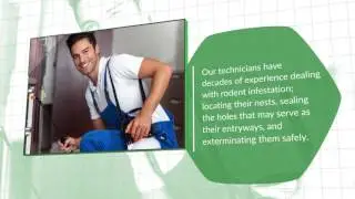 Professional Rodent Control | Greenside Pest Control