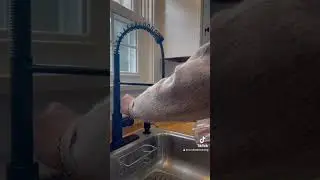This foaming handsoap is the best companion for the kitchen #cleanwithme #foaminghandsoap #house