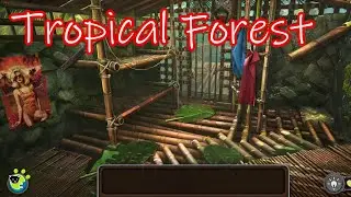 Tricky Doors Level 21 Tropical Forest Walkthrough with Solutions (FIVE-BN GAMES)