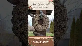 Unique Amazon Find: Brian's Birdseed Wreath!