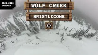 Wolf Creek ♢♢ Bristlecone on Knife Ridge