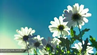 Blackmill feat Veela - Let It Be
