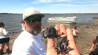 EPIC Shark Tooth Hunt/We hit the SHARK TOOTH FOSSIL MOTHERLOAD Beachcombing in SC