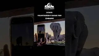 Join us in Zimbabwe | Safari for Wildlife Conservation