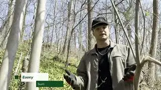 Gardener's Almanac:  Winter Invasive Plant Removal