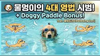 🐾 Doggo's 4 Swim Strokes + Doggy Paddle Bonus!