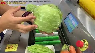 WIN-WIN PACK Efficient Table-Top Food Wrapping Machine | Fast & Versatile Packaging Solution