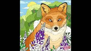 Colouring The Wild Fox #colour #YouTube #shorts