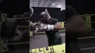 Mike Tyson still strong at 58 years of age #heavybag #hbc #boxing #jakepaul #miketyson #viralvideo