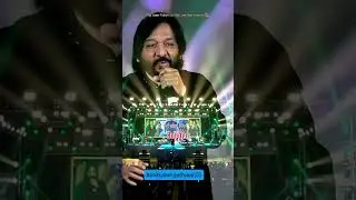 Relive the golden era of music with these old heart-touching songs. Melodies that remind us of love.