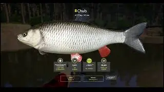 Russian Fishing 4 - Chub spinning comp on Winding - Winning fish!