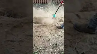 24 Frater Ave. - Air Spading + Root Pruning