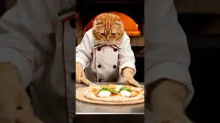 Cat dressed as chef prepares pizza with fresh basil, mozzarella just now in cozy kitchen