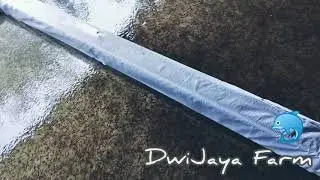 Pakan MeM Bernaqua