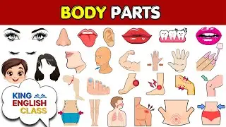 Learn 50 Body Parts in English | Fun Vocabulary for Kids | King English Class
