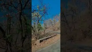 Sunday Ride on bullet jungle bike ride bullet ride riding vlog Nature rider