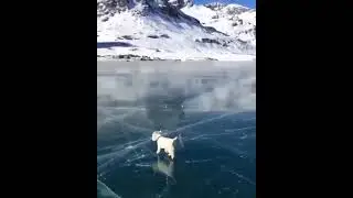 Lago Bianco