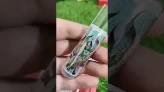 shengai vapeing#youtubeshorts#youtube#ytshorts