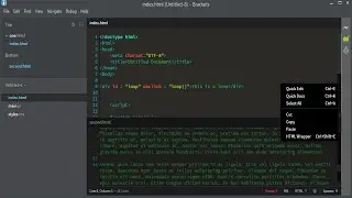 How to write variables in Javascript