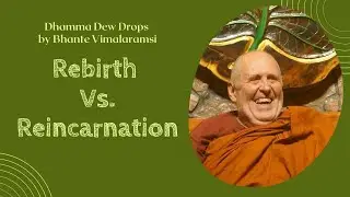 Dhamma Dew Drops: Rebirth Vs. Reincarnation | ft. Bhante Vimalaramsi