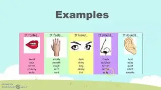 English -  Adjectives Explanatory - GR3