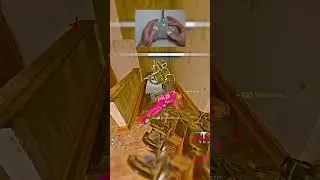 The *UNLIMITED AMMO* WSP SWARM is META 😭 Setup at the end