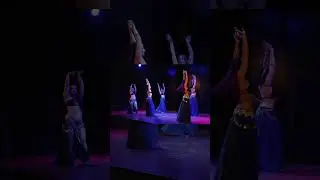 Wahran ✨ #bellydance #bellydancevideo #dance #contamination