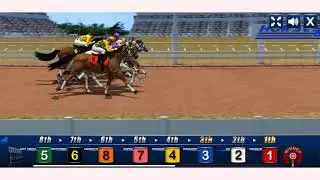 How to play Horse Racing  game | Free online games | MantiGames.com
