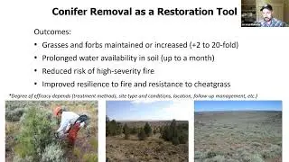 Sagebrush Conservation Strategy: Conifer Expansion