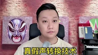 True and falsetto voice switching