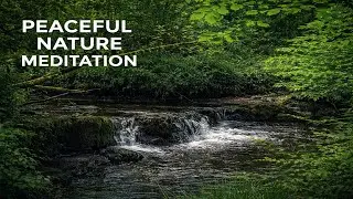 Peaceful Nature Meditation | Relax, Breathe & Find Inner Peace
